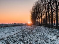 Zonsopgang in de besneeuwde polders in Zeeland