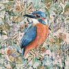 IJsvogel van Behindthegray