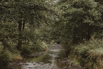 Small river by Paulien van der Werf