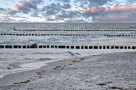 Einzelne Buhne an der Ostsee