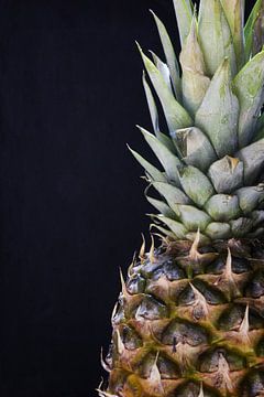 Ananasfrucht mit Blattschopf aufrecht auf schwarzem Hintergrund von Western Exposure