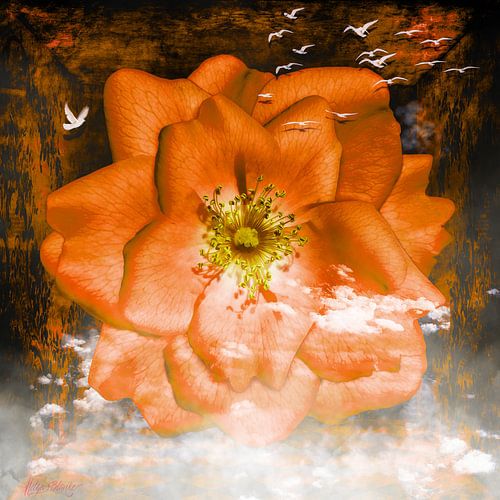 Luchtige roos met vogels