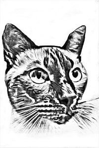 Schwarz und weiß Porträt orientalische Katze von Maud De Vries