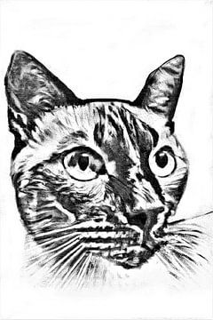 Zwart wit portret oosterse kat van Maud De Vries