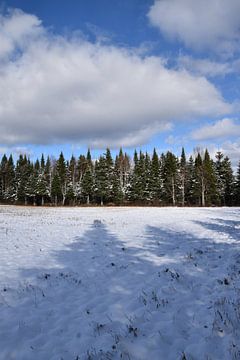 Een gebied in de winter onder een blauwe hemel van Claude Laprise