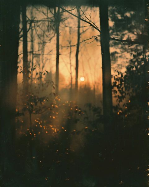 Herfstochtenden vol magie van fernlichtsicht