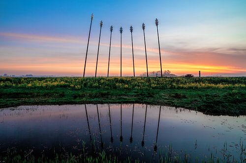 Oerwold De Onlanden tijdens zonsopkomst met reflectie