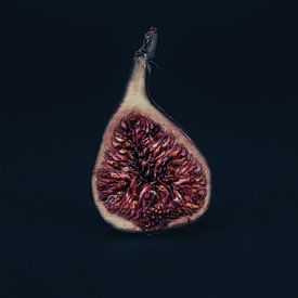 Fig 2 by STUDIO7005 .nl