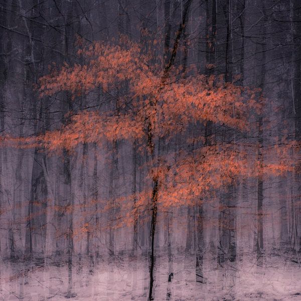 Deep autumn by jowan iven