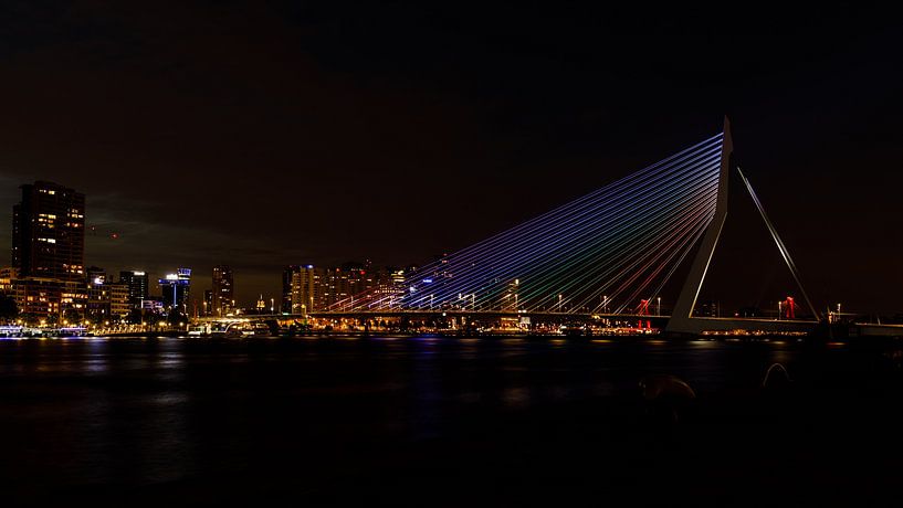 Die Erasmusbrücke in den Regenbogenfarben. von Licht! Fotografie