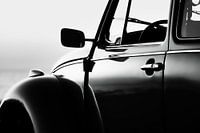 The beetle