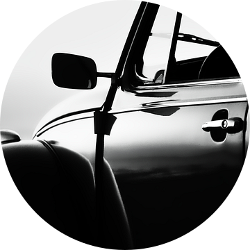 The beetle ,the icon van Rik Verslype
