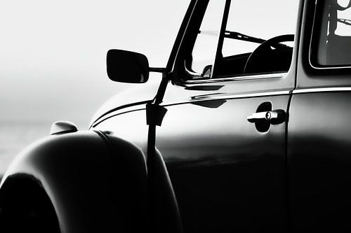 The beetle ,the icon