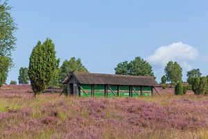Bienenstand, Wilsede, Naturschutzgebiet Lüneburger Heide, Niedersachsen, Deutschland