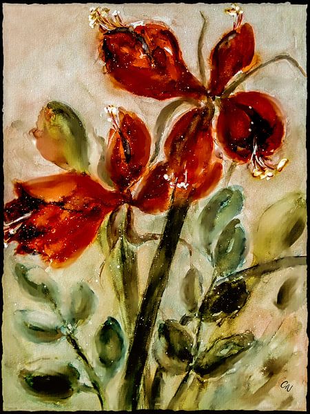 Red amaryllis by Christine Nöhmeier
