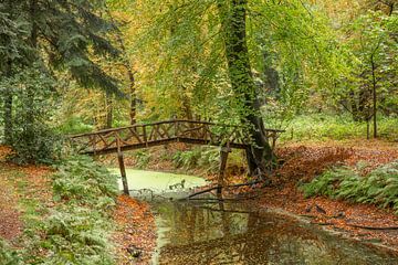 le château de conte de fées dans la forêt de Slochter sur M. B. fotografie