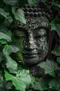 Buddha-Statue inmitten von Pflanzen von Poster Art Shop Miniaturansicht
