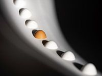 étrange oeuf dans le chapeau