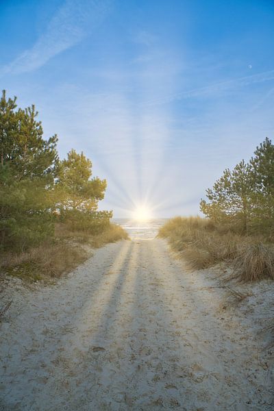 Sonne strahlt über einen Strandübergang auf Usedom mit Blick auf die Ostsee von Martin Köbsch