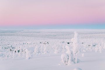 Uitzicht over houten huisjes | reisfotografie print | Saariselkä Lapland Finland van Kimberley Jekel