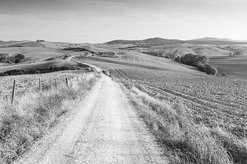 Toscaanse heuvels in zwart-wit van Damien Franscoise