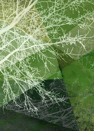 P19-E4a BOMEN EN DRIEHOEKEN