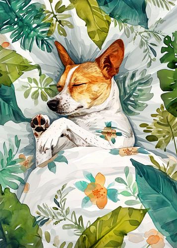 Slapende hond #dier #hond