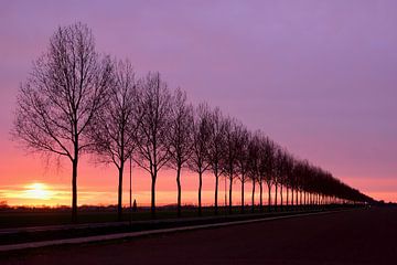 Zonsondergang achter de bomen van Denise van Gerven