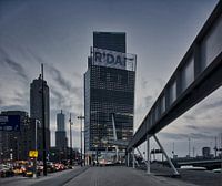 R'DAM: Wilhelminapier
