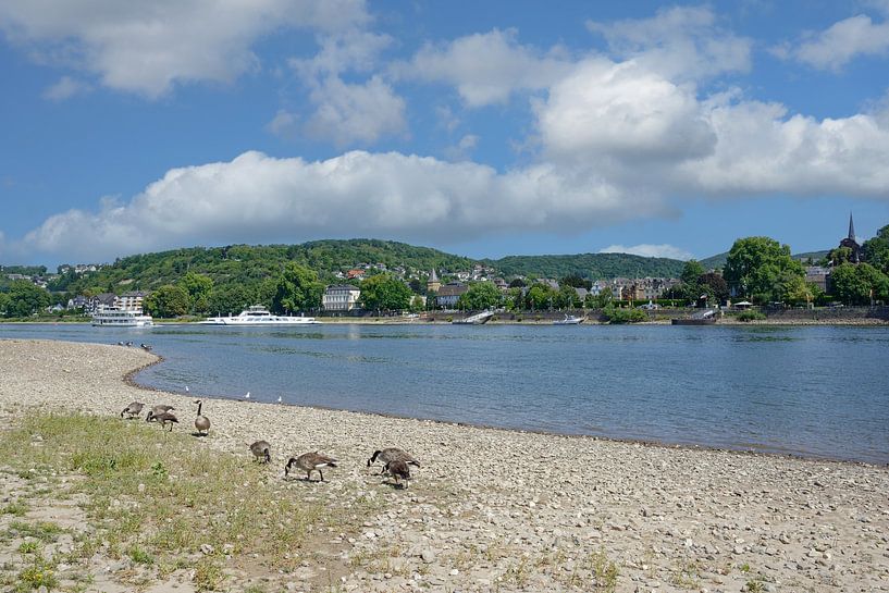 Linz am Rhein von Peter Eckert