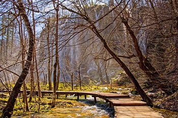 A wooden footbridge in the forest to the waterfall