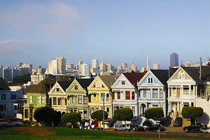 Painted Ladies