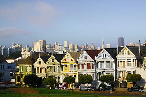 Painted Ladies