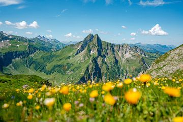 Bloemrijk uitzicht op de Höfats en de Allgäuer Alpen van Leo Schindzielorz