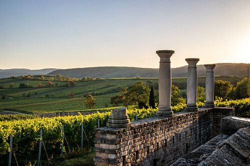 Roman press in Bad Dürkheim