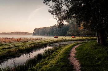 Scottish Highlanders in the Leeuwarden Forest