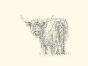 Bœuf des Highlands regardant vers l'arrière Dessin au crayon