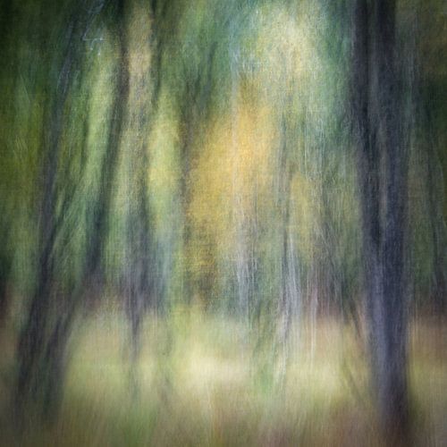 Verträumte Brabanter Herbstlandschaft