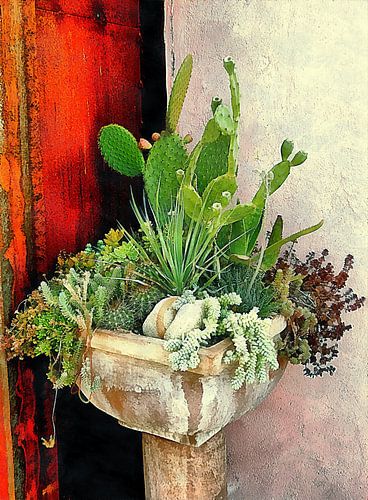 Présentoir à succulentes en coin