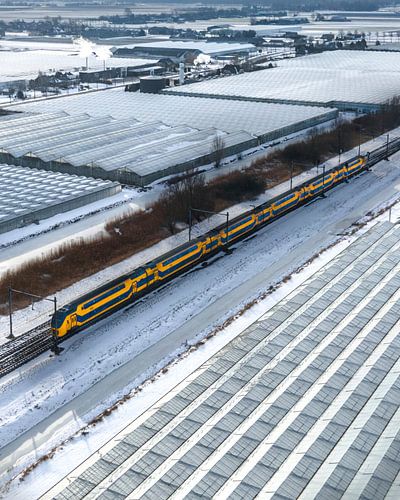 NS trein langs besneeuwde kassen in Nederland