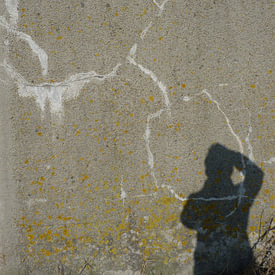 Alies werk Profilfoto