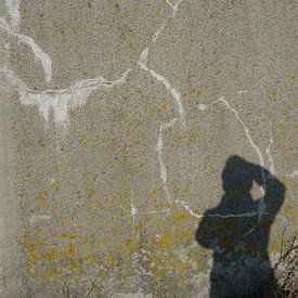 Alies werk Profilfoto