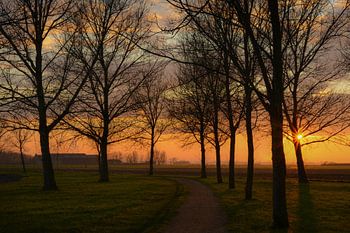 sunset in zeeland (lying down)