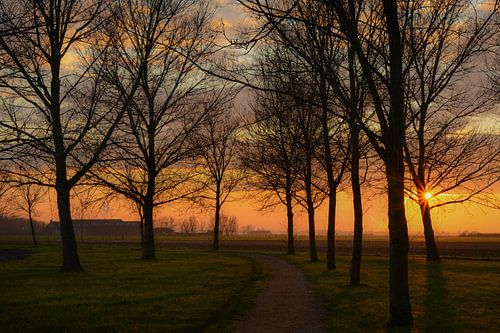 coucher de soleil en zélande (couché)