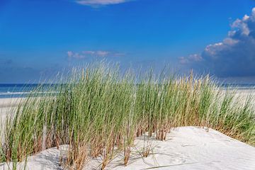 Strand op Juist van Dirk Rüter