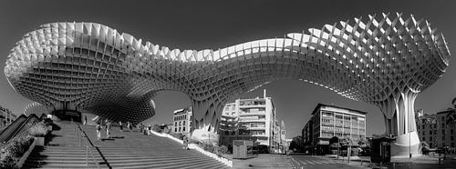 Parasol Metropol (Last Setas) noir et blanc