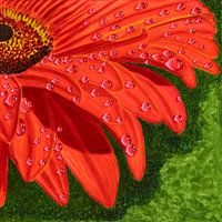Fleur d'oranger avec gouttes d'eau