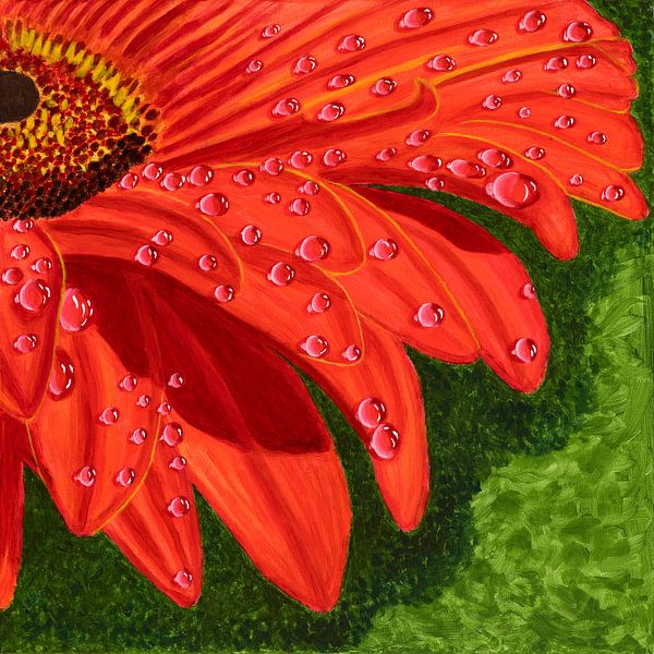 Orangefarbene Blume mit Wassertropfen von Nelleke Bruno