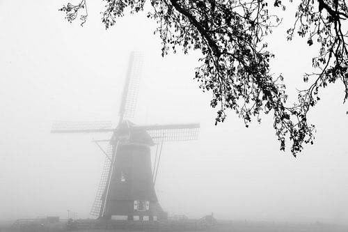 Holländischen Windmühle im Nebel unter einem Ast