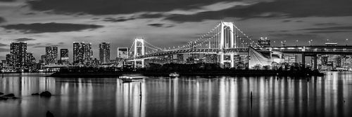De prachtige Regenboogbrug en de skyline van Tokio bij zonsondergang | Panorama monochroom